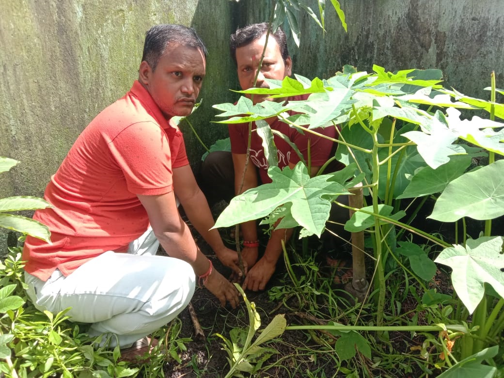 विश्व पर्यावरण दिवस