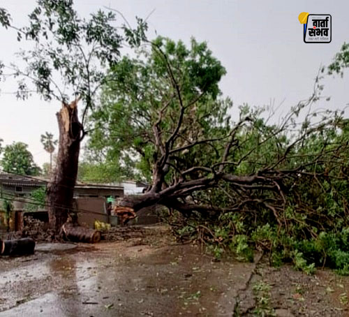 आंधी-ओलावृष्टि ने फिर अस्त-व्यस्त किया सिंदरी का जनजीवन